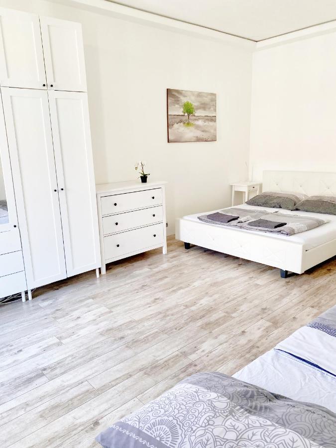 Luxury Apartment In The Centre Ac Parking Garden Budapest Kültér fotó